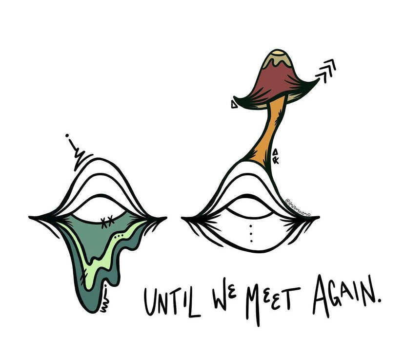 Until We Meet Again