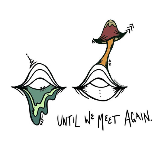 Until We Meet Again